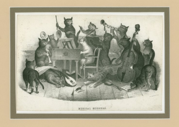 Caricature - Cat Orchestra - "Musical Mousers". - (5693)