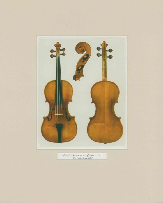 STRADIVARIUS - A COLORED ILLUSTRATION